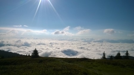 Bez komentára... :)